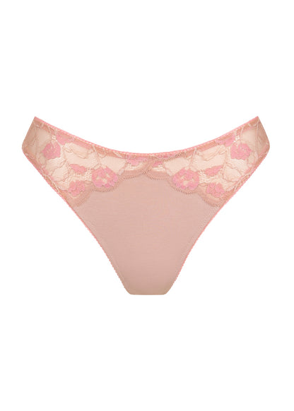 Chilot Tanga Rainbow LISCA